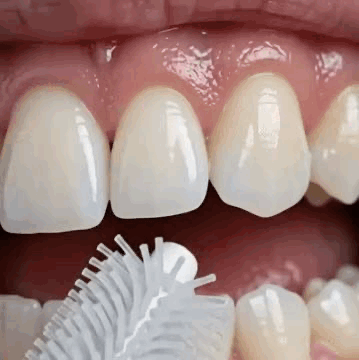 OwnSmiles™ — Kit bucco-dentaire 3-en-1